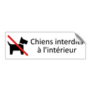 Chiens interdits à l'intérieur