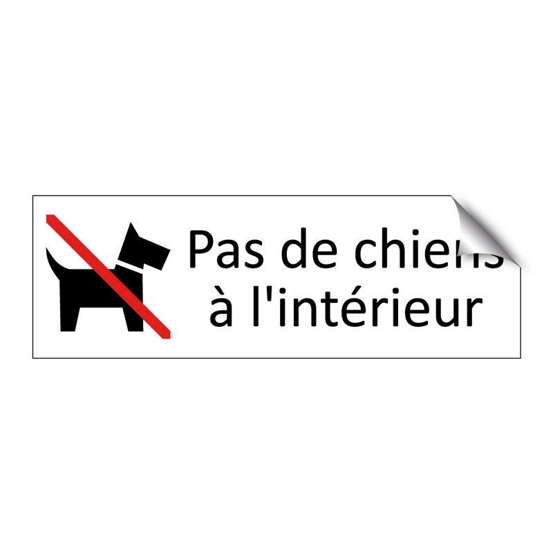 Pas de chiens à l'intérieur