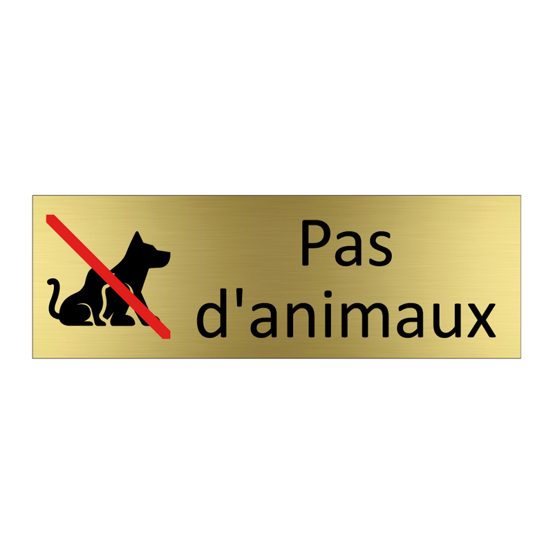 Pas d'animaux