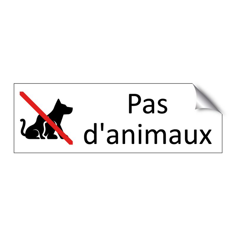 Pas d'animaux