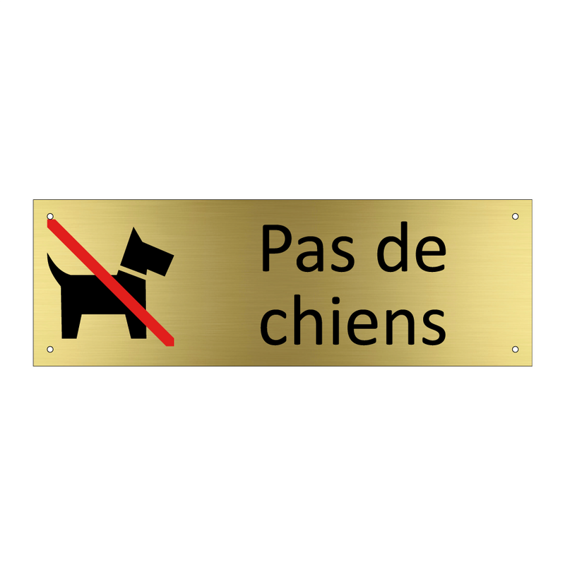 Pas de chiens