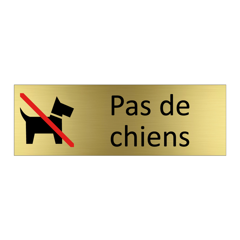 Pas de chiens