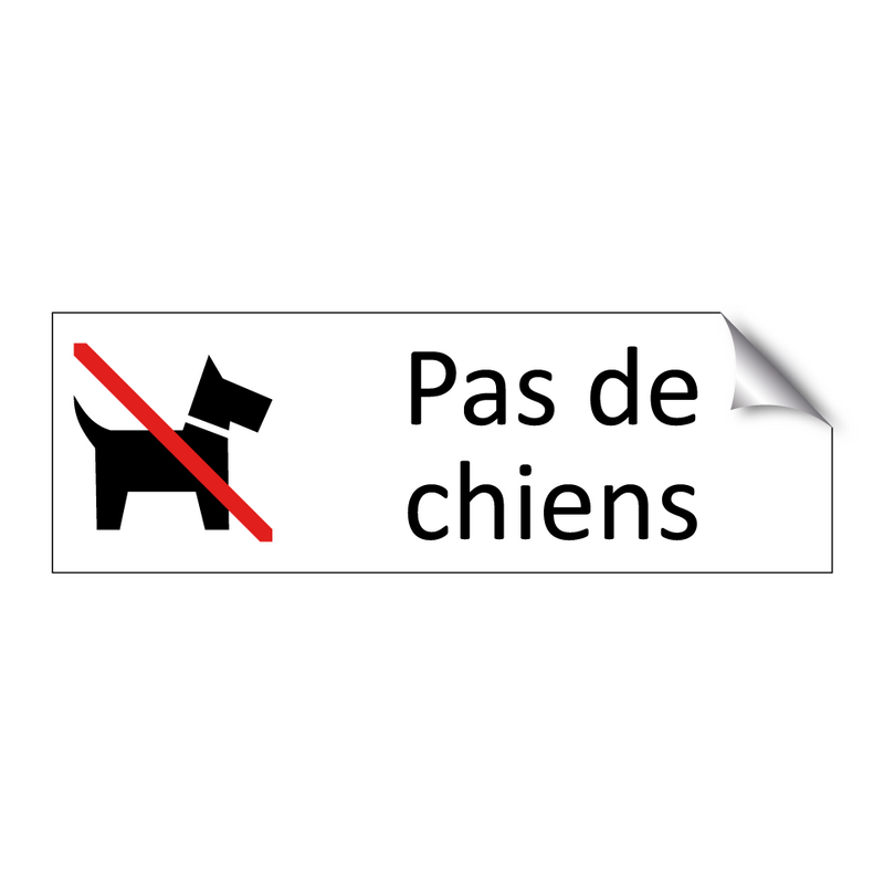 Pas de chiens