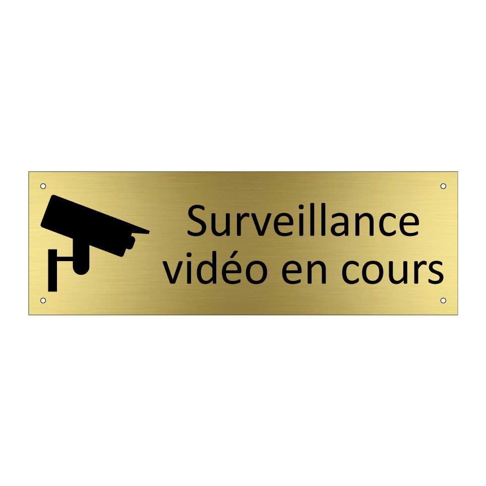 Surveillance vidéo en cours