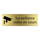 Surveillance vidéo en cours