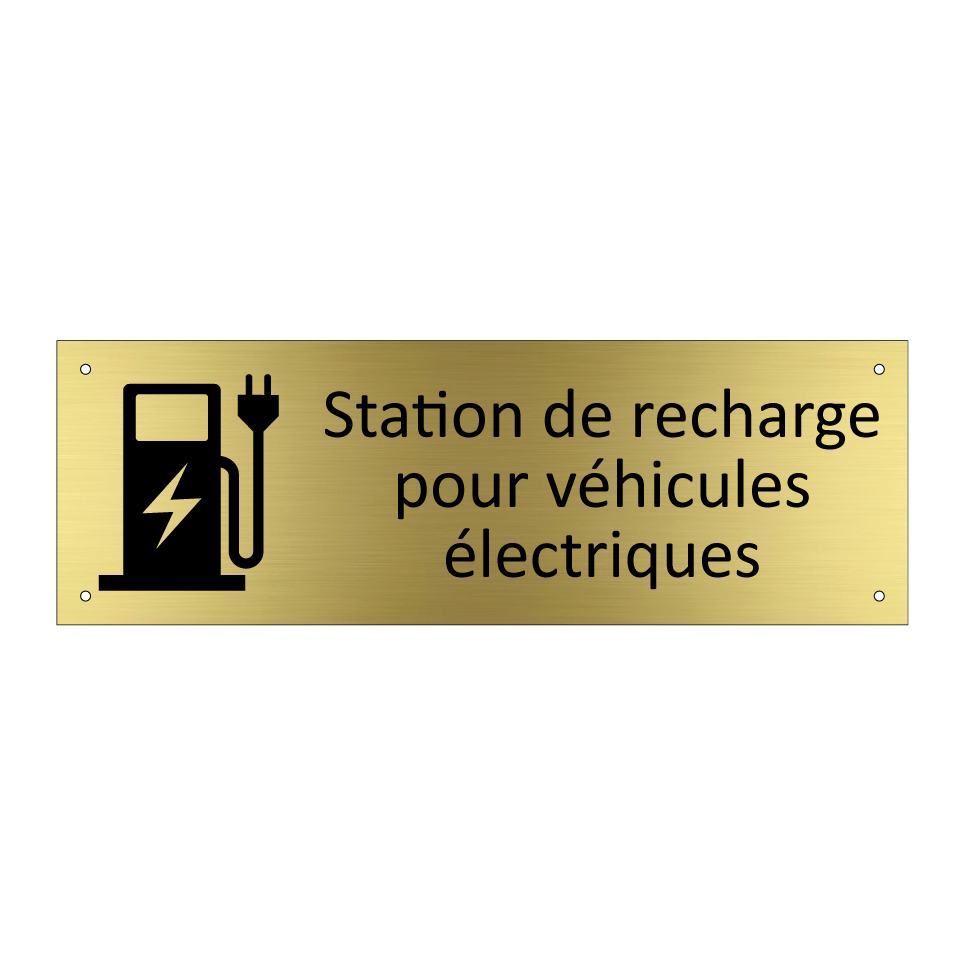Station de recharge pour véhicules électriques