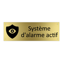 Système d'alarme actif