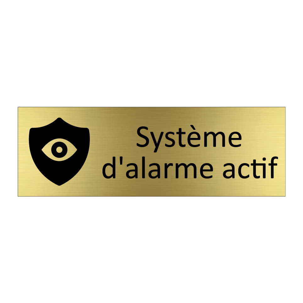 Système d'alarme actif