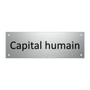 Capital humain