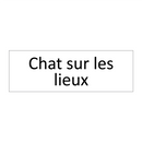 Chat sur les lieux