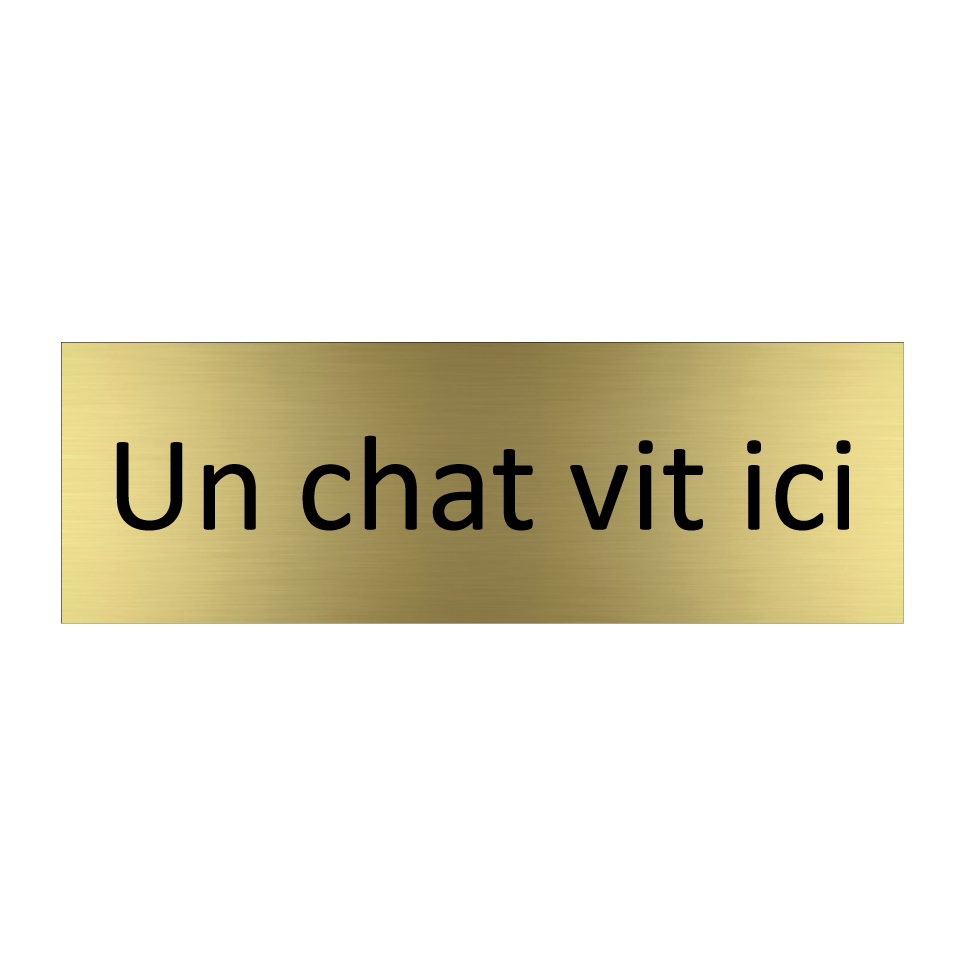 Un chat vit ici
