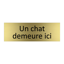 Un chat demeure ici