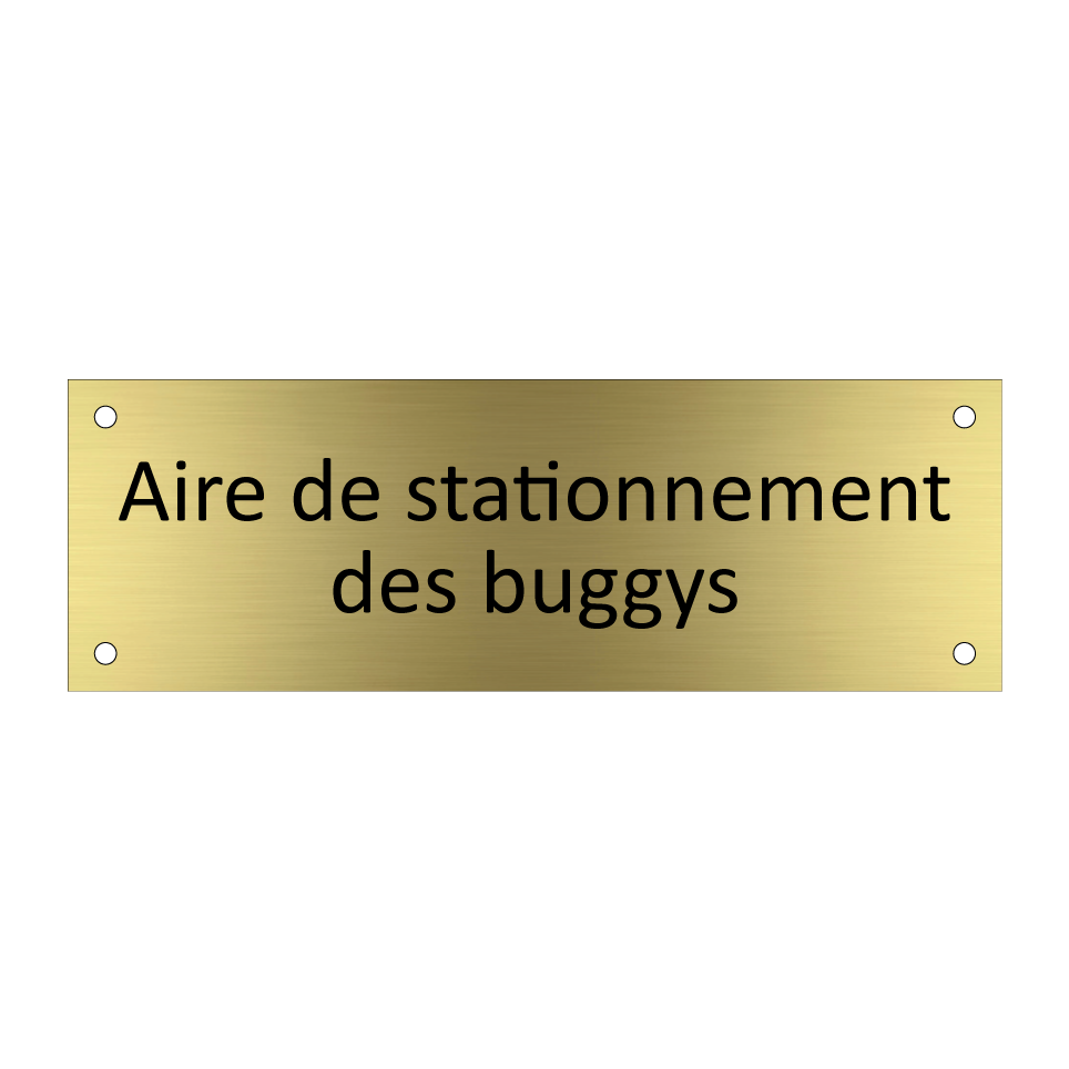 Aire de stationnement des buggys
