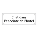 Chat dans l'enceinte de l'hôtel