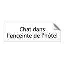 Chat dans l'enceinte de l'hôtel