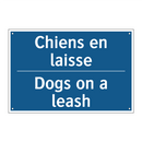 Chiens en laisse - Dogs on a leash
