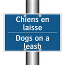 Chiens en laisse - Dogs on a leash