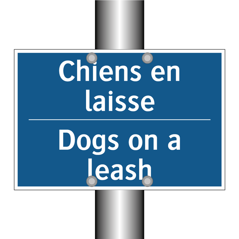 Chiens en laisse - Dogs on a leash