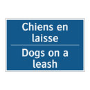 Chiens en laisse - Dogs on a leash