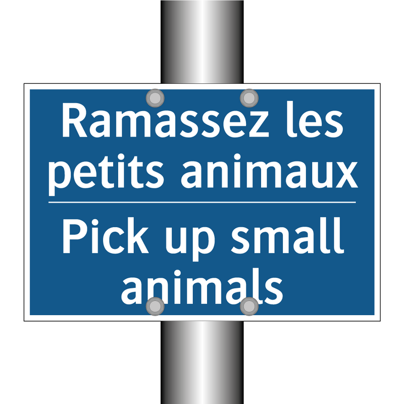 Ramassez les petits animaux - Pick up small animals