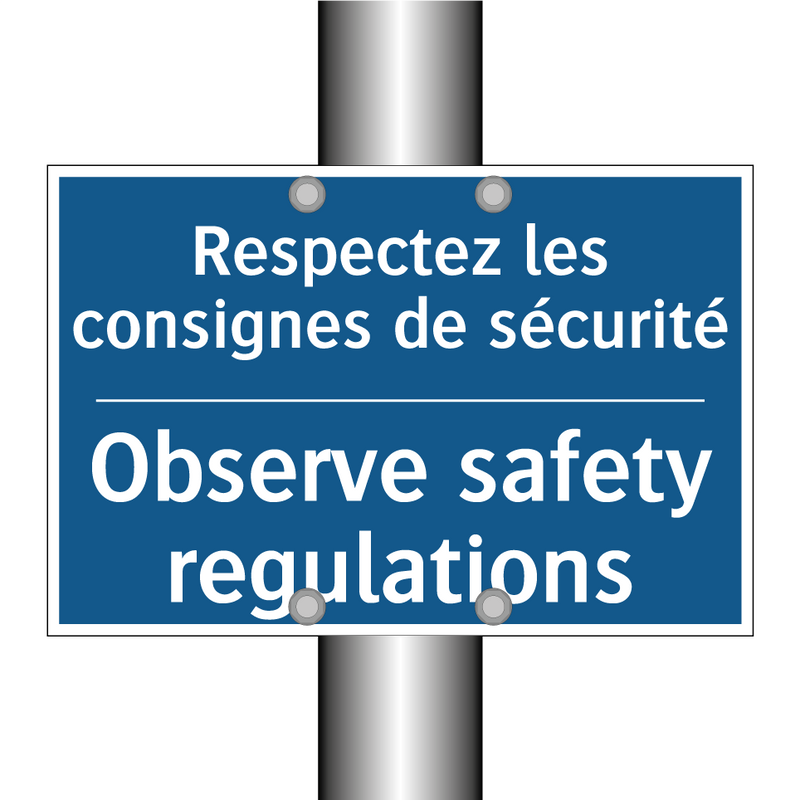 Respectez les consignes de sécurité /.../ - Observe safety regulations