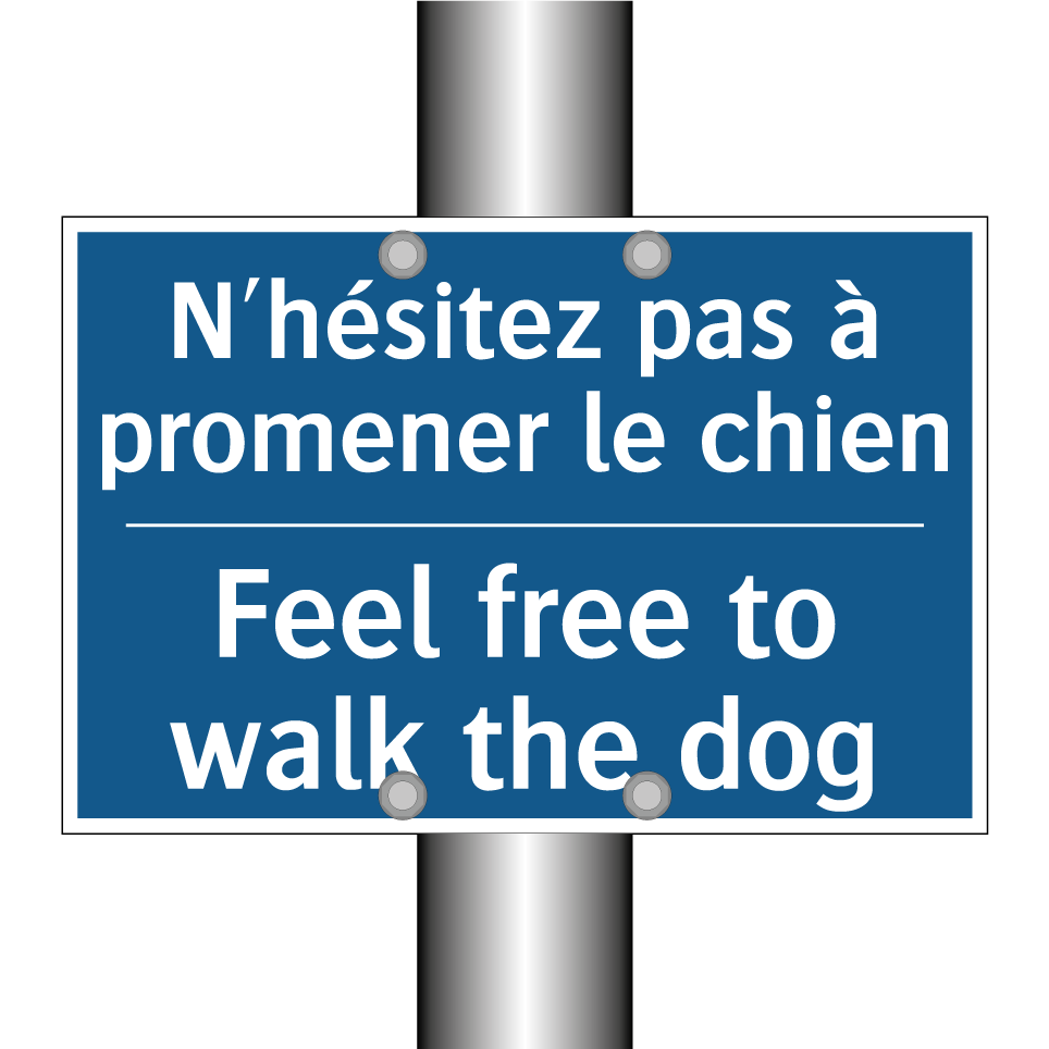N'hésitez pas à promener le chien /.../ - Feel free to walk the dog