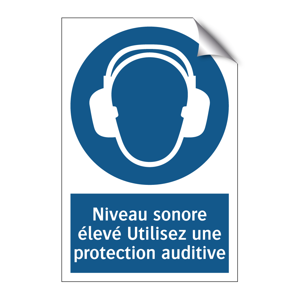 Niveau sonore élevé Utilisez une protection auditive
