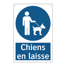 Chiens en laisse