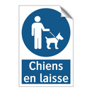 Chiens en laisse