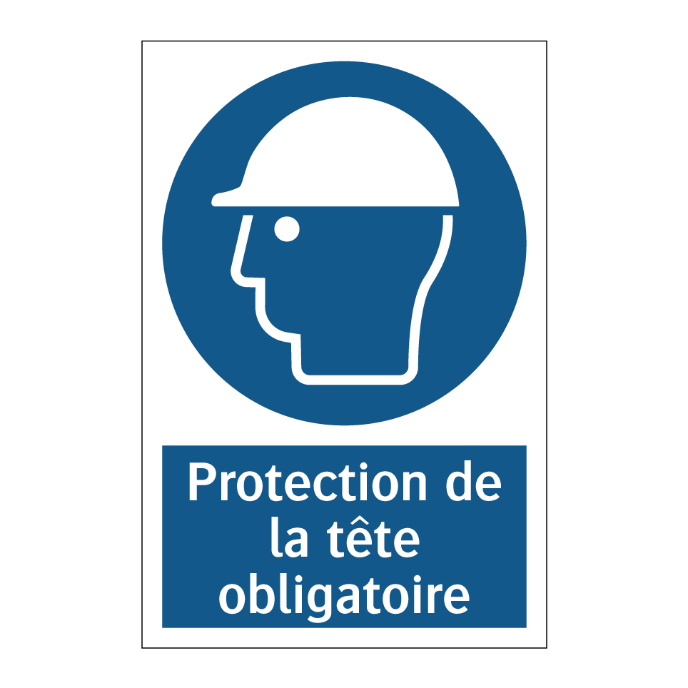 Protection de la tête obligatoire.
