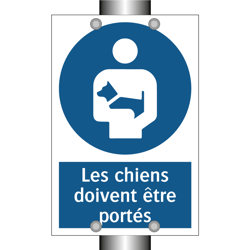 Les chiens doivent être portés