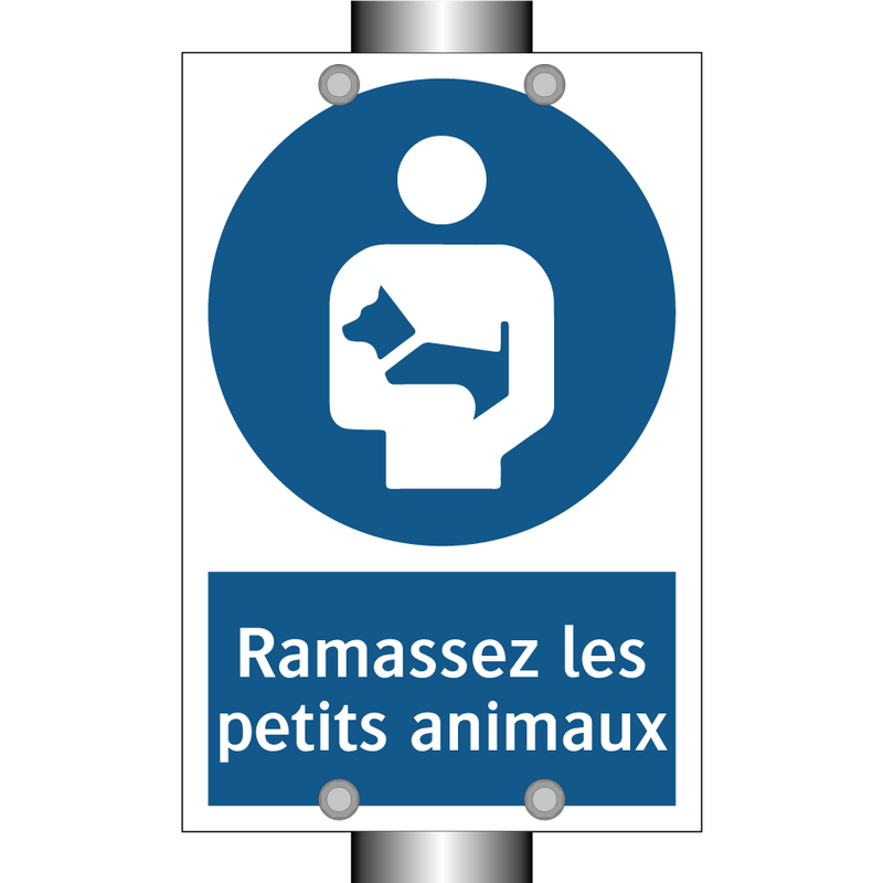 Ramassez les petits animaux