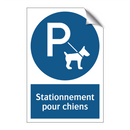 Stationnement pour chiens