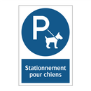 Stationnement pour chiens