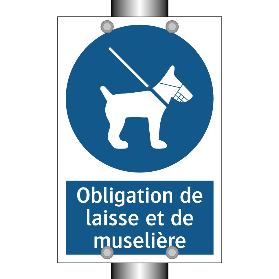 Obligation de laisse et de muselière