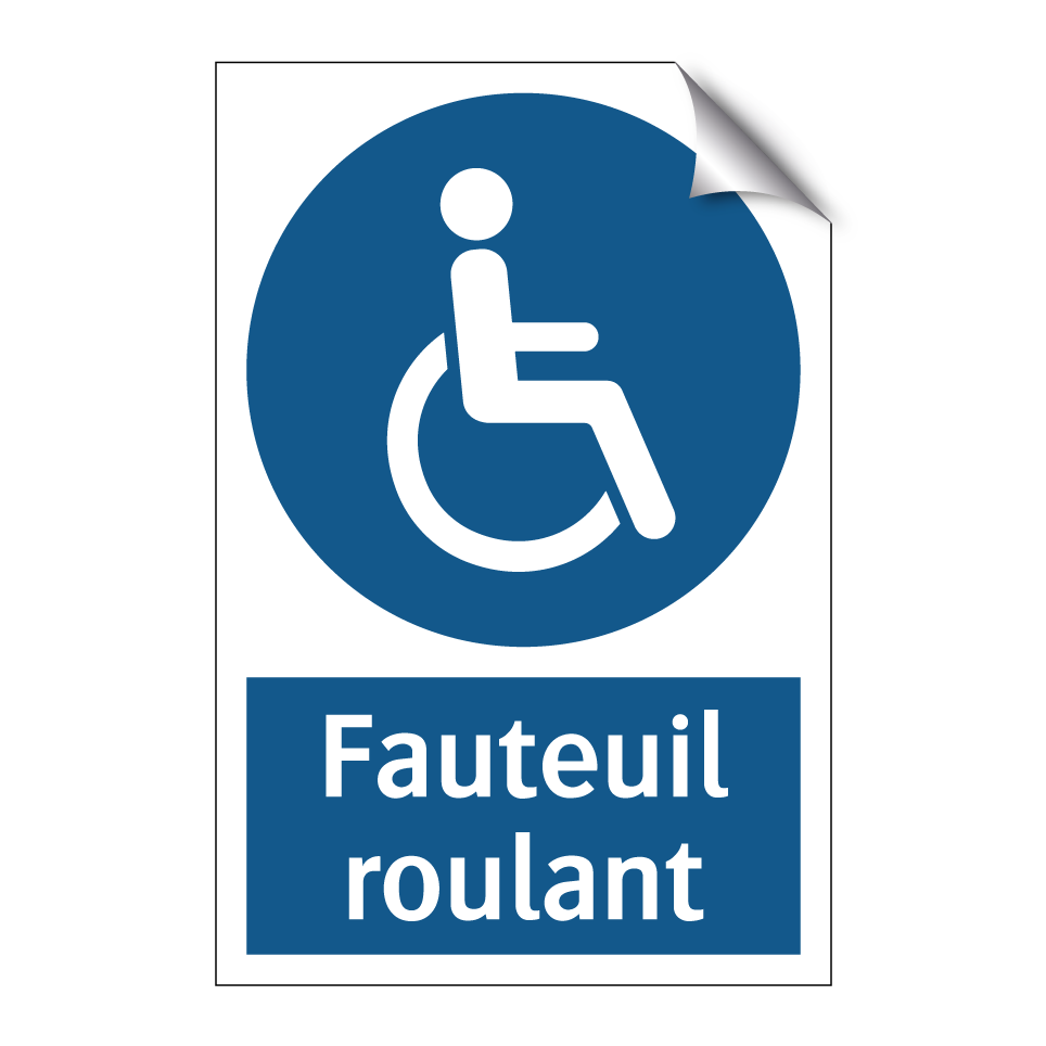 Fauteuil roulant