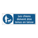 Les chiens doivent être tenus en laisse