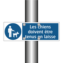Les chiens doivent être tenus en laisse