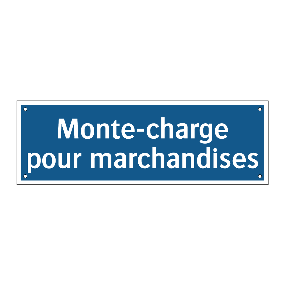 Monte-charge pour marchandises