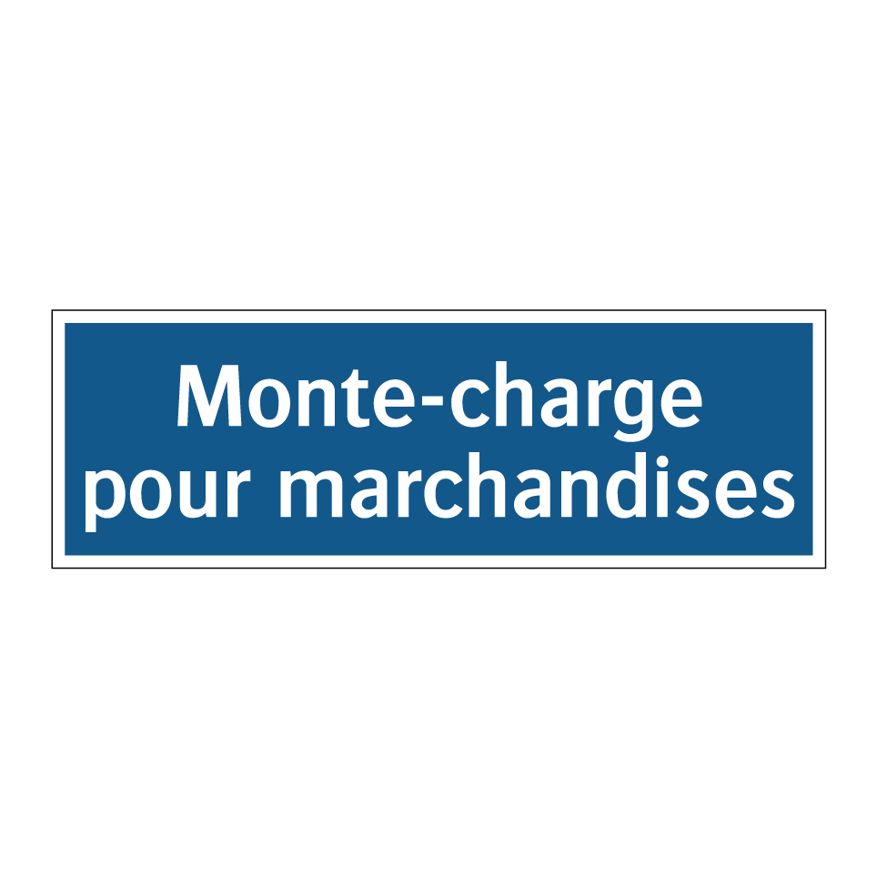 Monte-charge pour marchandises