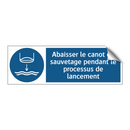 Abaisser le canot de sauvetage pendant le processus de lancement