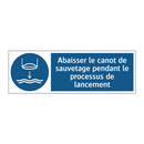 Abaisser le canot de sauvetage pendant le processus de lancement