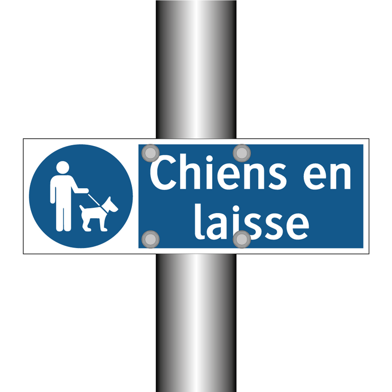 Chiens en laisse