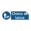 Chiens en laisse