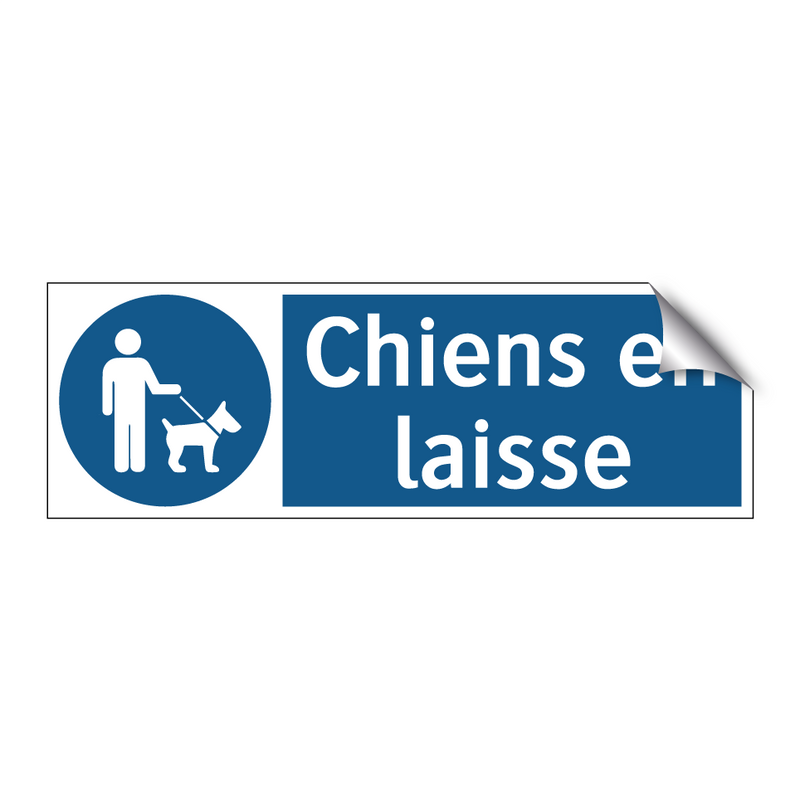 Chiens en laisse