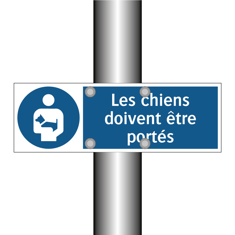 Les chiens doivent être portés