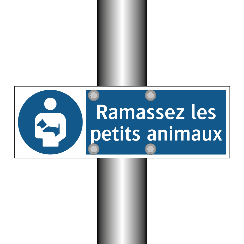 Ramassez les petits animaux