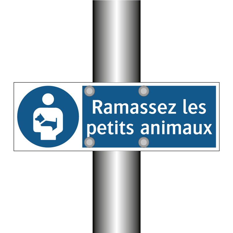 Ramassez les petits animaux