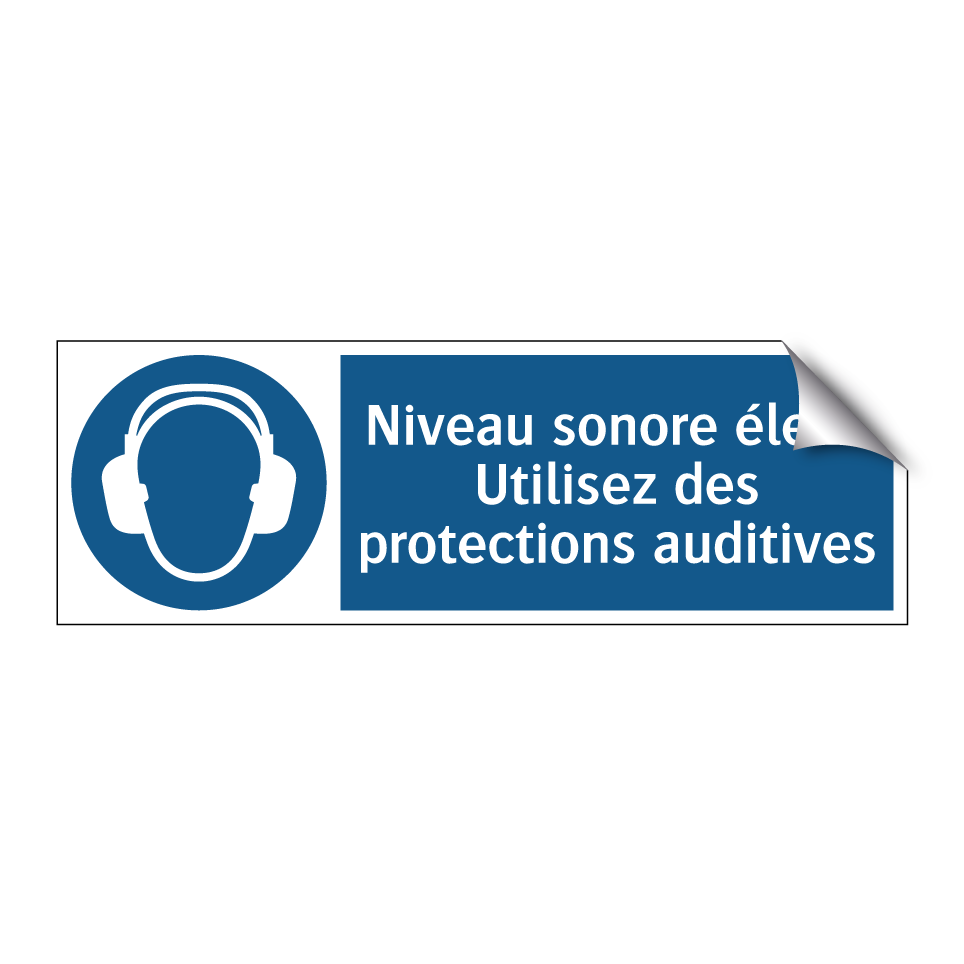 Niveau sonore élevé Utilisez des protections auditives