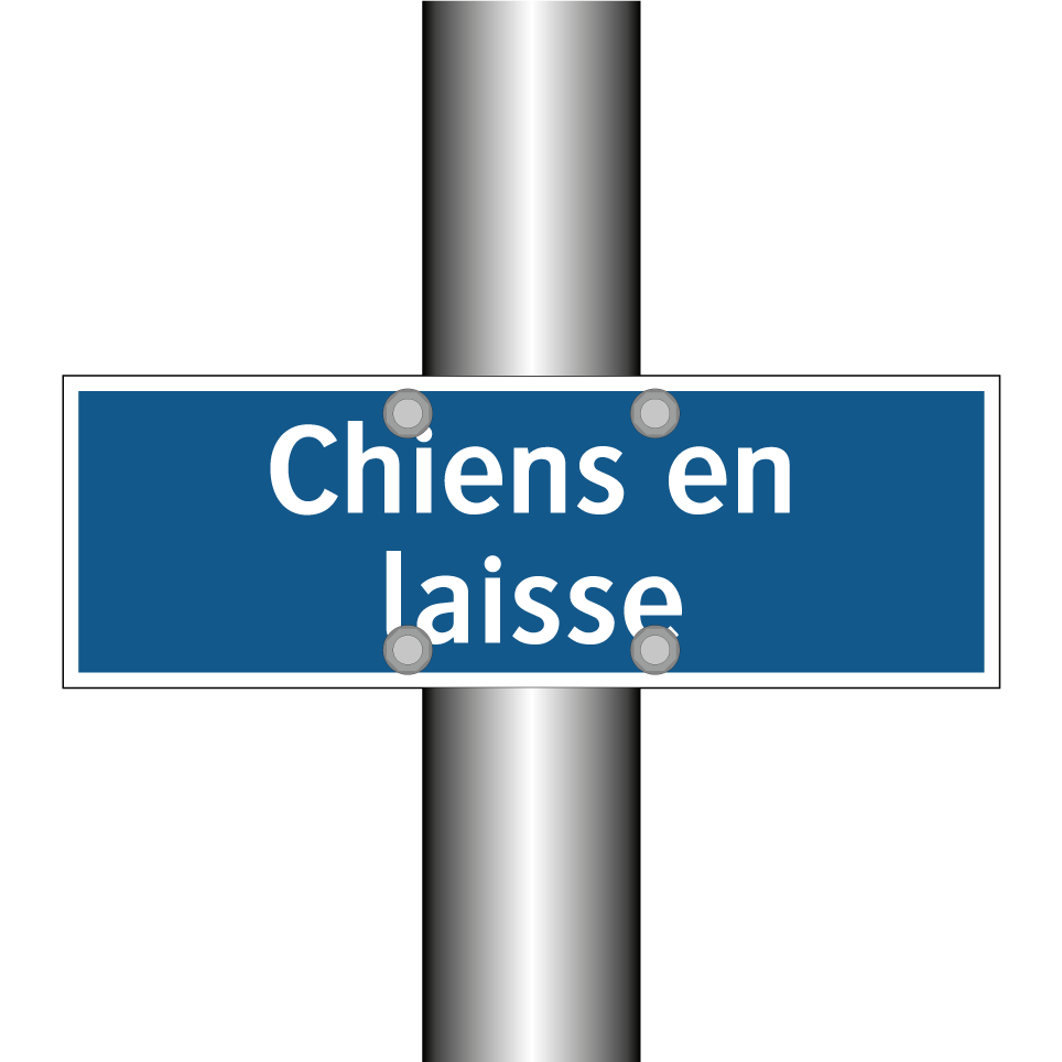 Chiens en laisse
